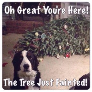 Bernese mountain dog looking worried by toppled tree, with caption "Oh great, you're here! The tree just fainted!"