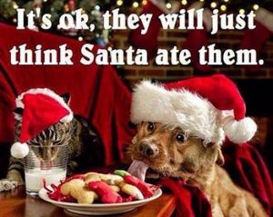 A cat drinks the milk and a dog eats the cookies left out for Santa. The caption says, "It's OK, they will just think Santa ate them."