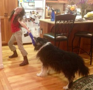 Girl plays dramatically but gently with an old border collie mix