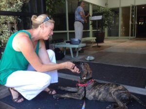 A blond woman feeds her great Dane puppy while a busker plays violin nearby