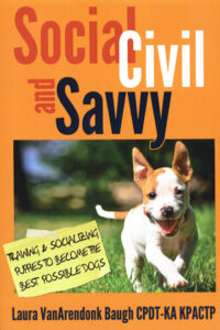 Book cover of Social, Civil and Savvy
