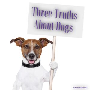 A terrier holds up a sign that says "Three Truths About Dogs"